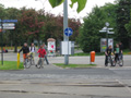 Raport z pomiarów ruchu rowerowego i obserwacji zachowań rowerzystów na terenie Torunia – lato 2010 r.