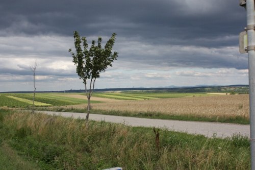 Szlak rowerowy prowadzący do Czech.