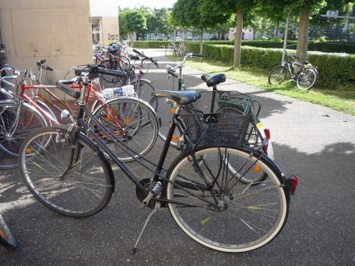 rowery przy akademiku 2