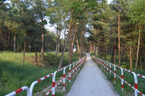 Po co te barierki w lesie? Może warto je zdemontować i przerobić na stojaki rowerowe?