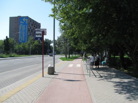 Droga rowerowa poprowadzona przed przystankiem. Tego typu rozwiązanie często spotykane jest np. w Kopenhadze, w Radomiu też się sprawdza.
