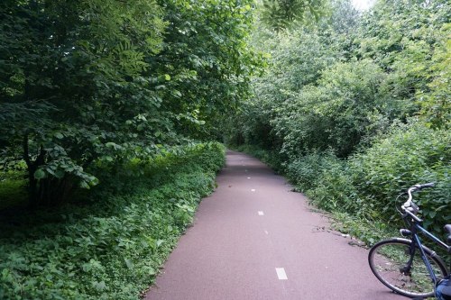 Rotterdam, las miejski Kralingse Bos. Przez teren przebiega wiele dróg rowerowych, oczywiście asfaltowych.