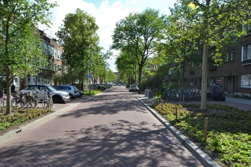 Przykład osiedlowej ulicy poza ścisłym centrum Rotterdamu.