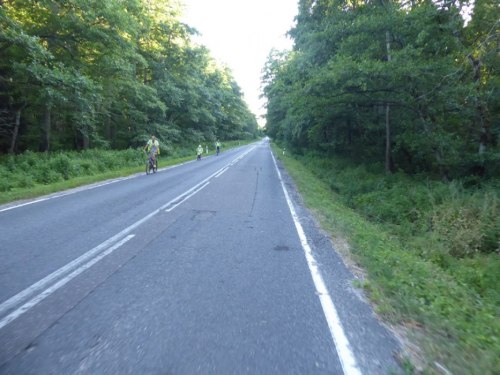 Jedyną drogę na mierzei rowerzyści muszą dzielić z samochodami / Велосипедистам приходится делить единственную дорогу на косе с автомобилями